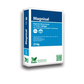 Magnisal™