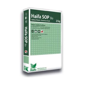 Haifa SOP Bio