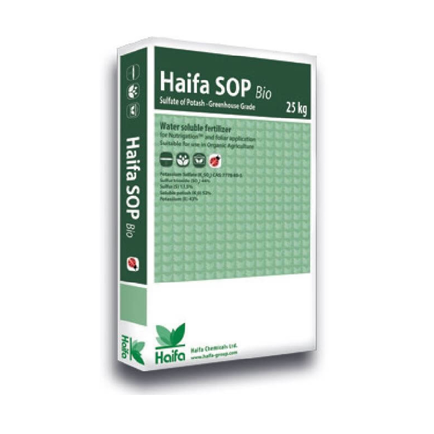 Haifa SOP Bio